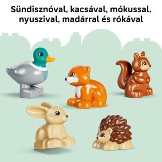 LEGO® DUPLO - Kalandos erdő vadállatokkal (10480)