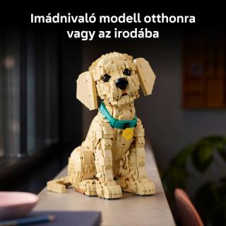 LEGO® Icons - Golden retriever kutyus (11384)