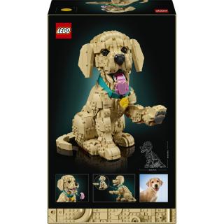 LEGO® Icons - Golden retriever kutyus (11384)