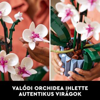 LEGO® Icons - Orchidea (10311)