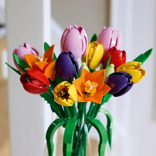 LEGO® Botanicals - Tulipáncsokor (11501)  