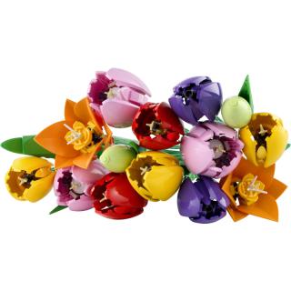 LEGO® Botanicals - Tulipáncsokor (11501)  