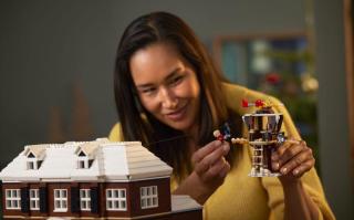LEGO® Ideas - Home Alone (21330)