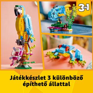 LEGO® Creator - Egzotikus papagáj (31136)