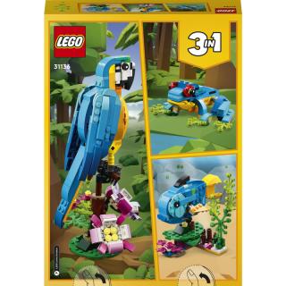 LEGO® Creator - Egzotikus papagáj (31136)