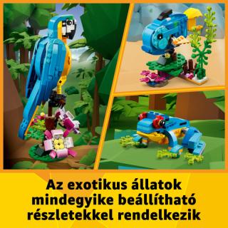 LEGO® Creator - Egzotikus papagáj (31136)