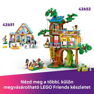 LEGO® Friends - Kisállatfelszerelések boltja (42650)