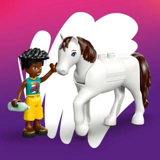 LEGO® Friends - Állatklinika (42696)