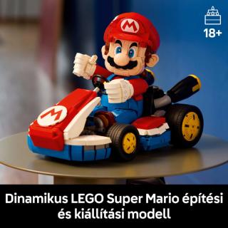LEGO® Super Mario - Mario Kart™: Mario & Standard Kart (72037)