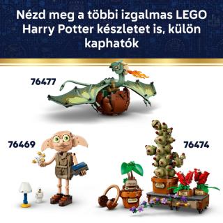 LEGO® Harry Potter - A Roxfort™ címere (76462)